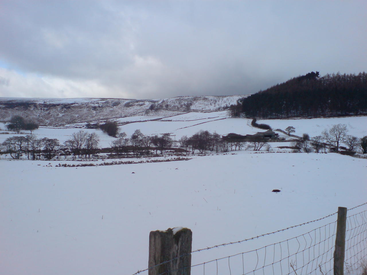 DSC00075.JPG
