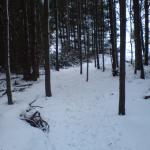 DSC00092.JPG