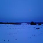 DSC00044.jpg