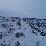 DSC00132.JPG