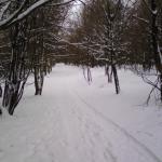 DSC00009.jpg