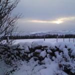DSC00033.jpg