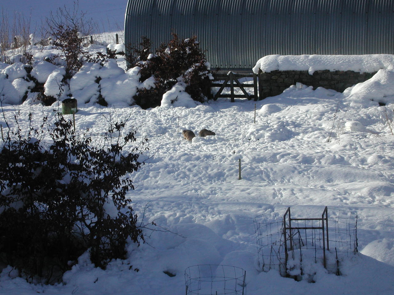 P1010005.JPG
