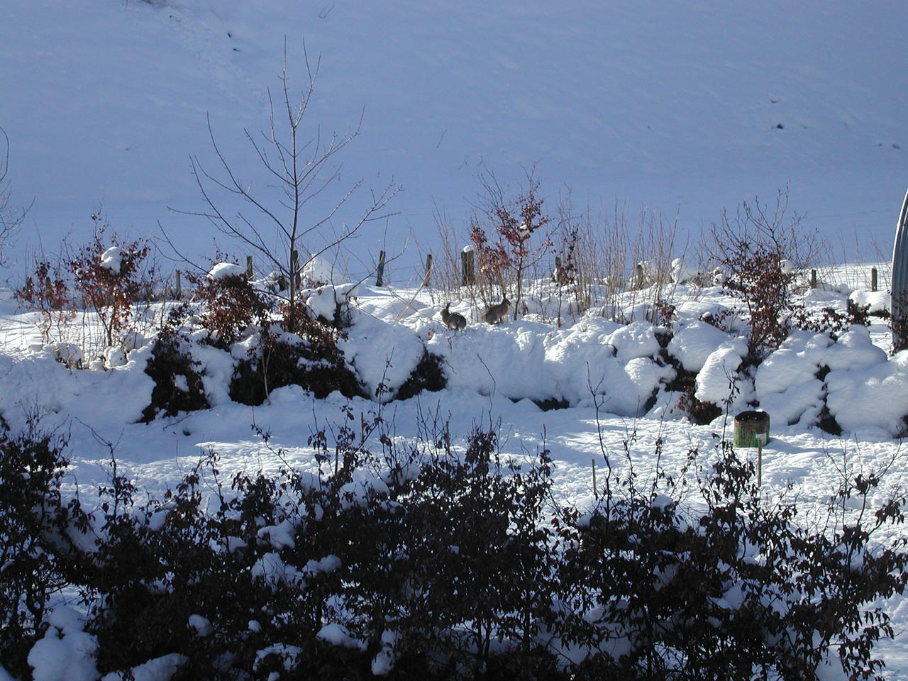 P1010009.JPG