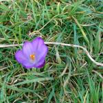 DSC00915.JPG