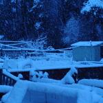 DSC00931.JPG