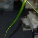 DSC_6554.JPG