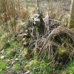 Log Pile Habitat
