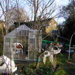Greenhouse 004