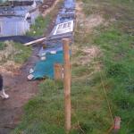 PICT1561