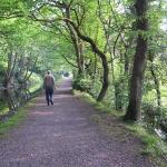 Walk 005