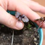 3398571786_733c93ddf3_o