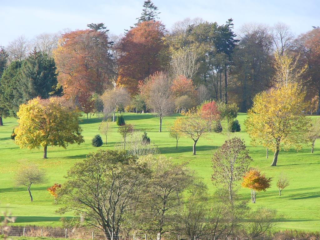 Huntly Golf Club Autumn 003.jpg