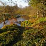 Deveron from 5th.JPG