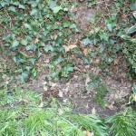 allsorts 064