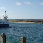 DSC01013.JPG