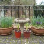 Containers 20090303 - 1