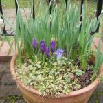 Containers 20090303 - 5