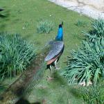 DSC01125.JPG