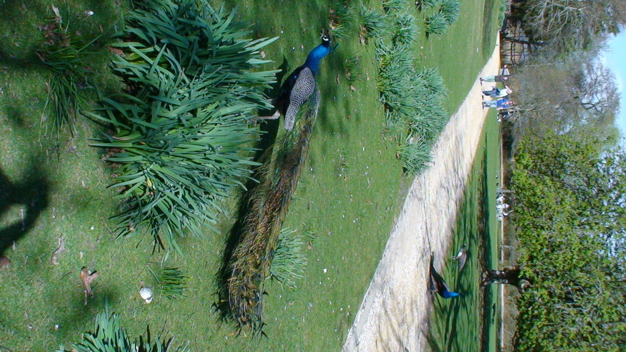 DSC01126.JPG