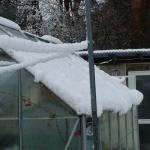 DSC00943.JPG