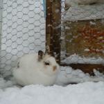 DSC00949.JPG
