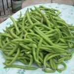Broad Beans