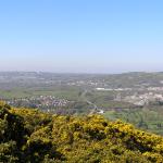 Views from Ynys Mond 026