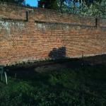DSC00188.JPG