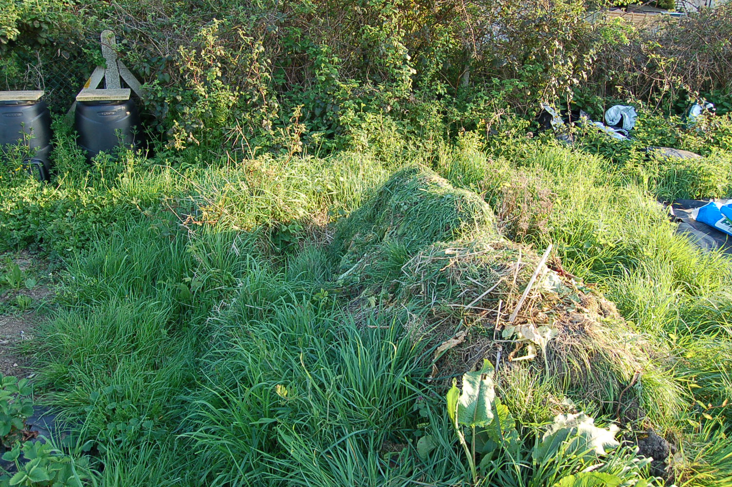 DSC_7248.JPG