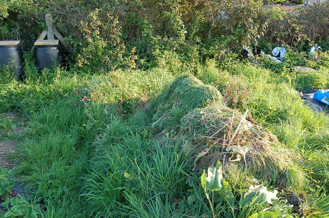 DSC_7248.JPG