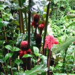 Photo Library - 0943