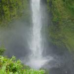 Photo Library - 0962