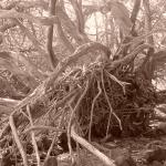 Photo Library - 0815