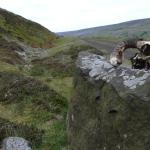 Day out on the moors-fd0021.jpg