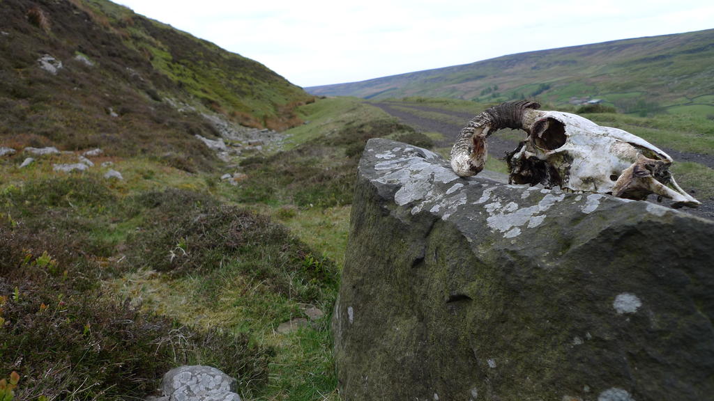 Day out on the moors-fd0021.jpg