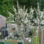 DSC01164.JPG