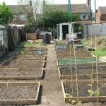 19th May 039