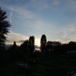 DSC_7361.JPG