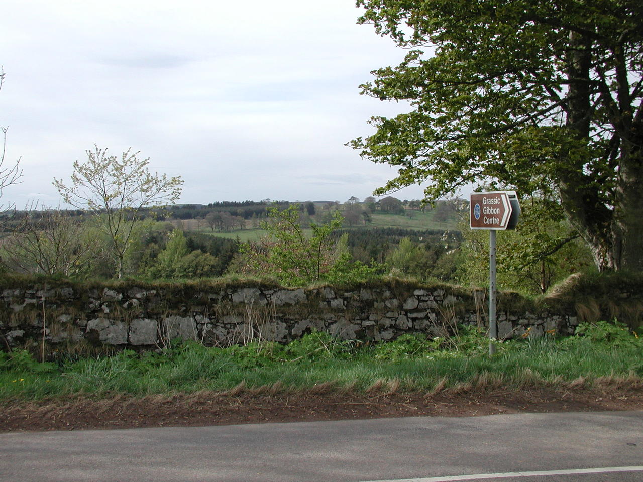 P1010076.JPG