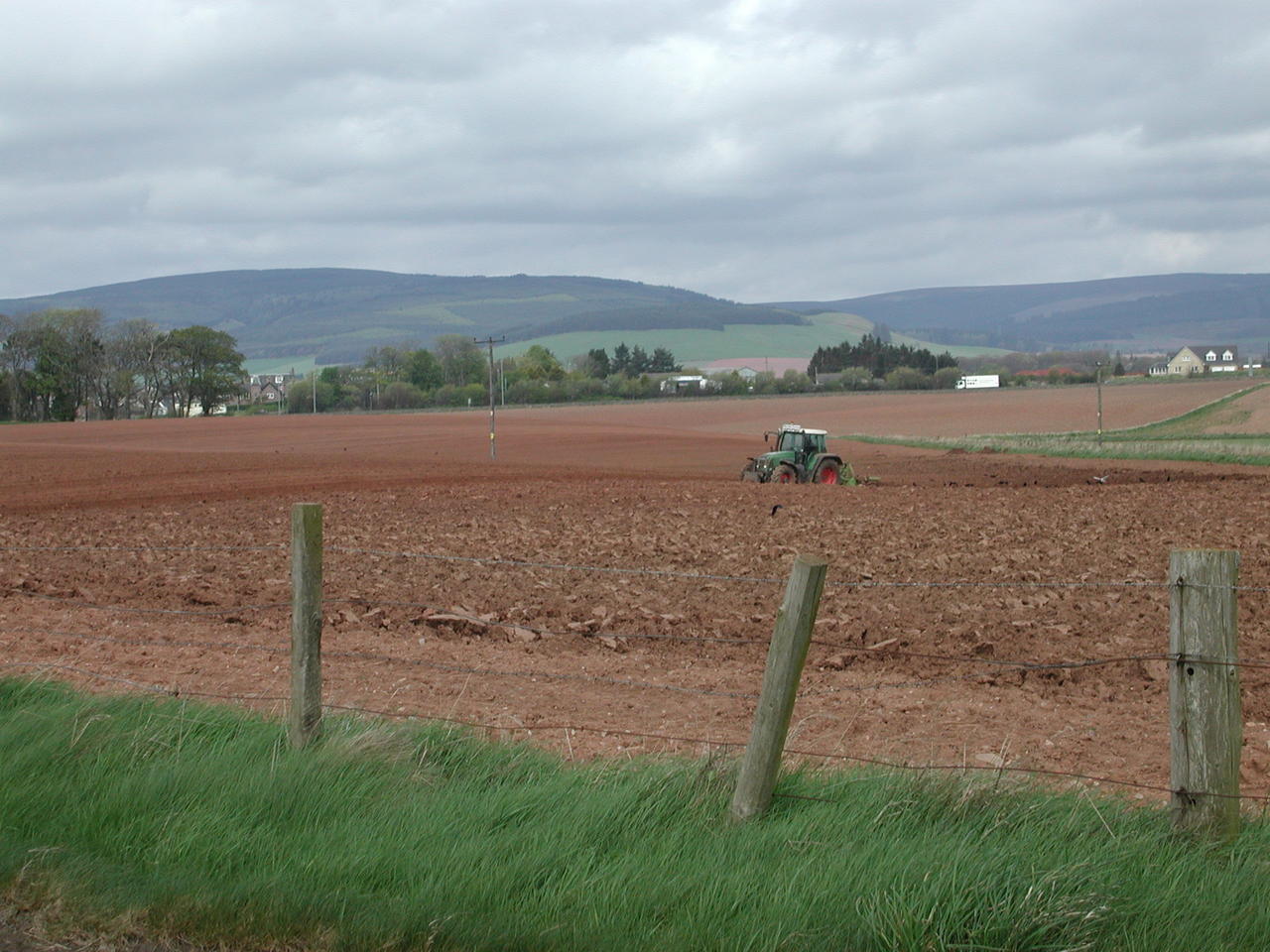 P1010078.JPG