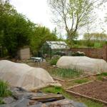spring garden 09