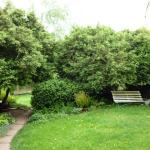 box trees