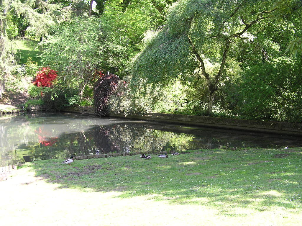 Clyne Gardens 026