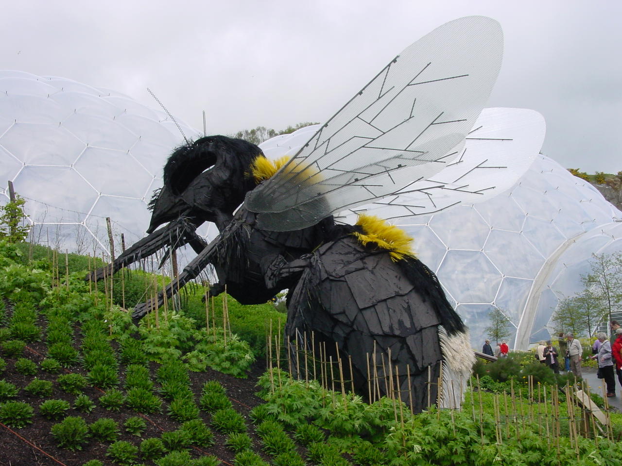 Cornish Weekend - 09