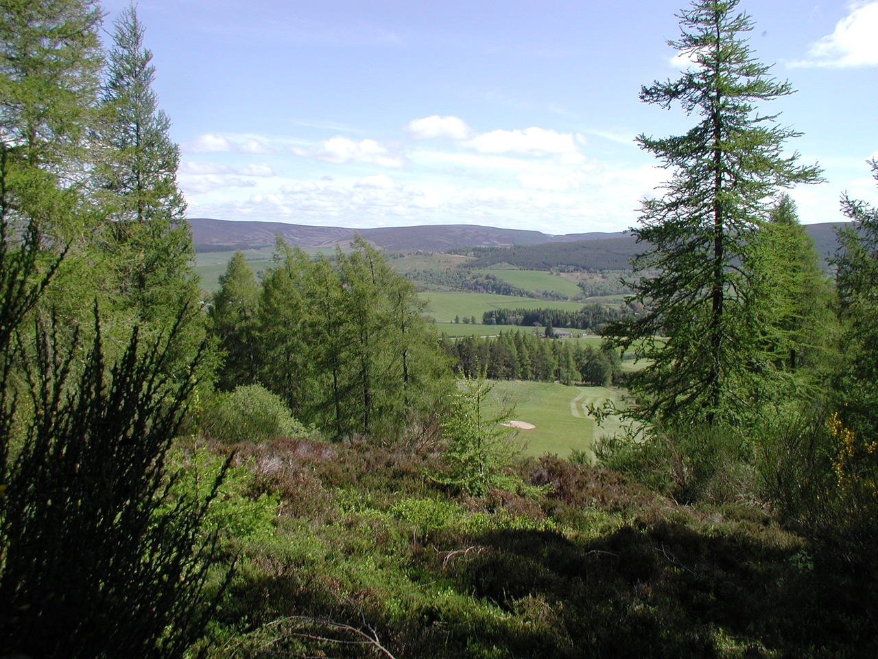 P1010035.JPG