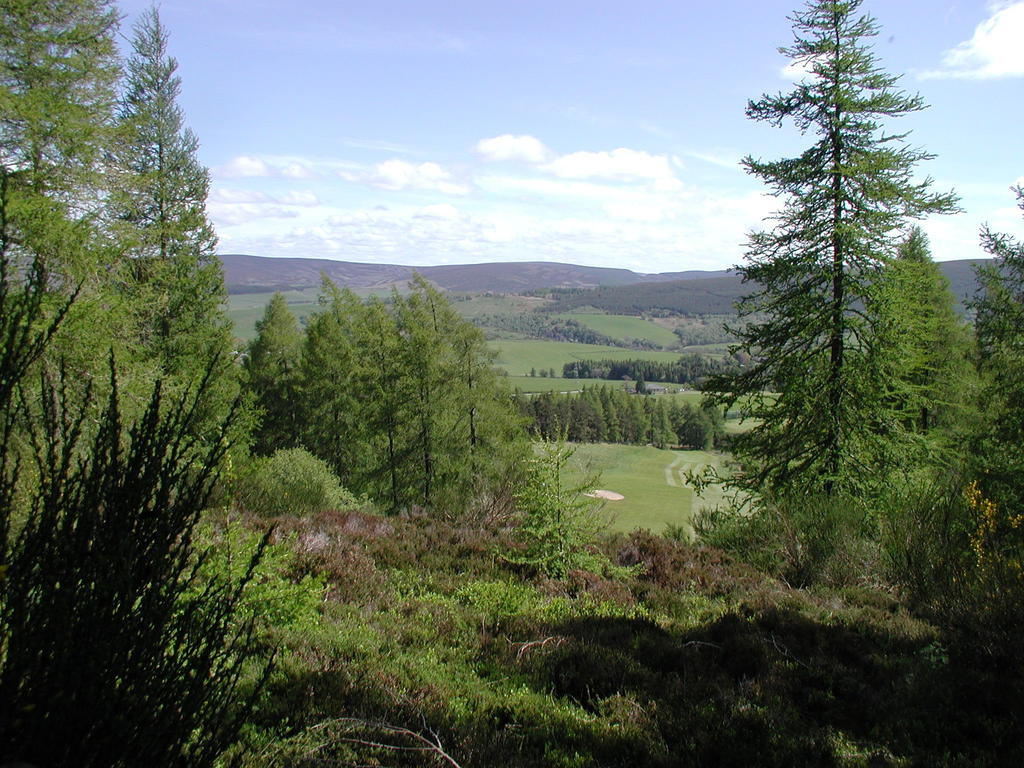 P1010035.JPG