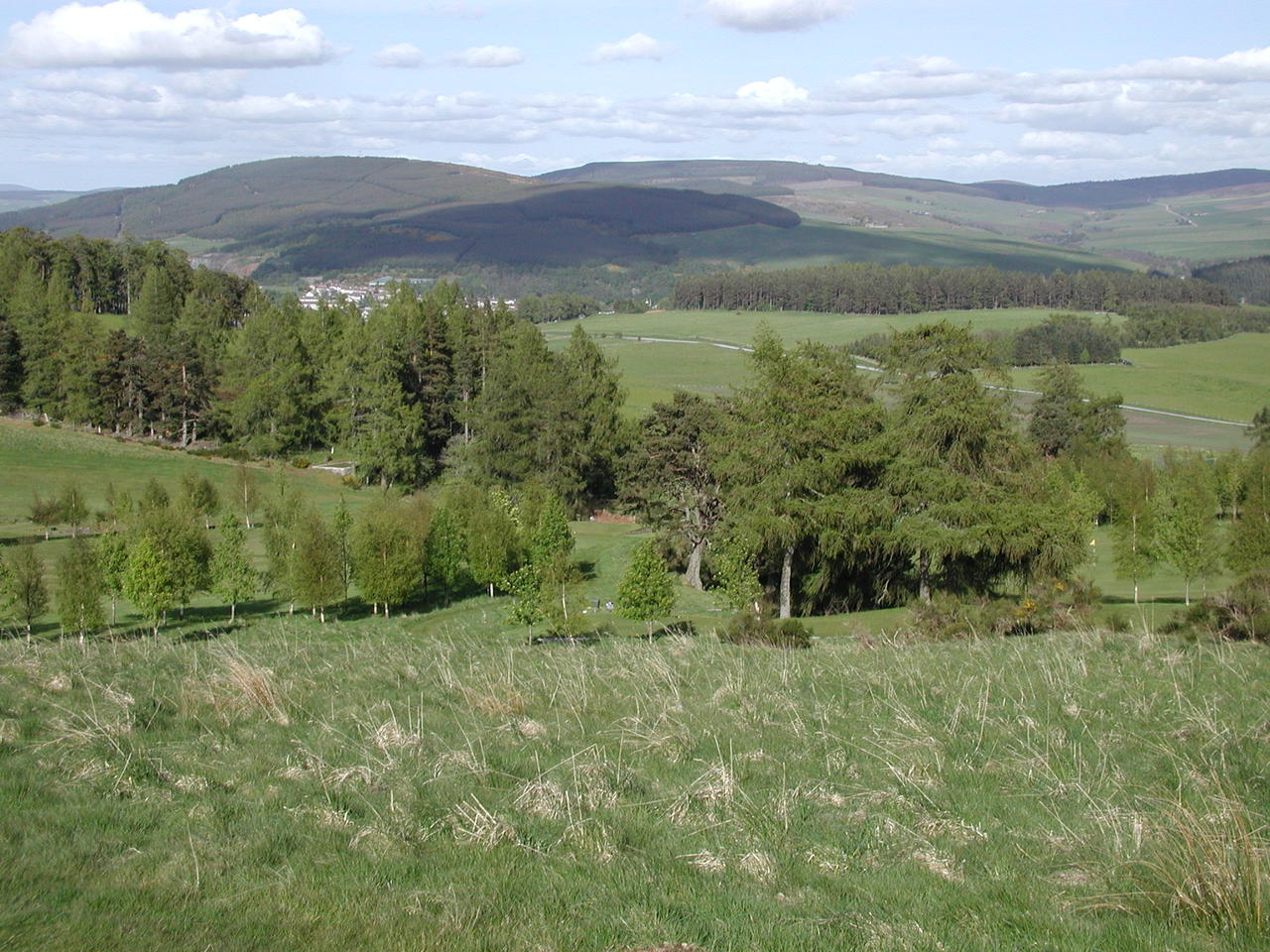 P1010046.JPG