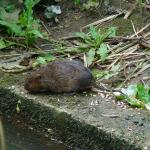 DSC01244.JPG