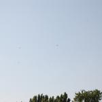 DSC_7611.JPG